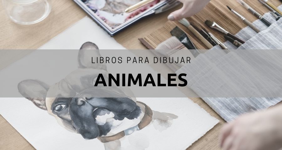 Libros para aprender a dibujar animales